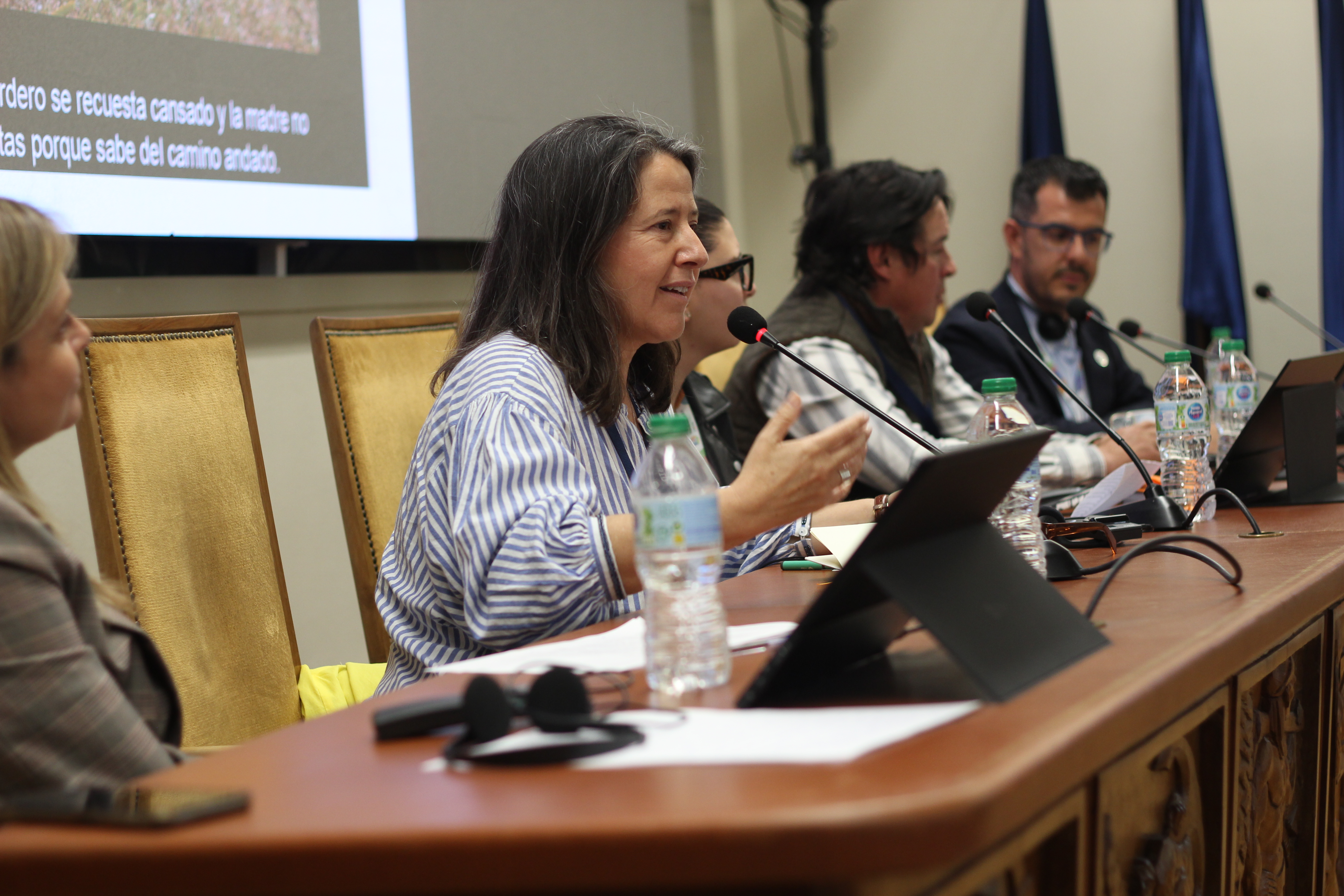 Event Gallery - IYRP 2026
